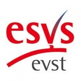 Controversies and Updates in Vascular Surgery (CACVS) Congress