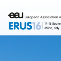 13th Meeting of the EAU Robotic Urology Section