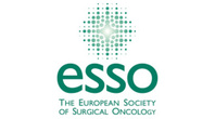 ESSO Surgical Anatomy Course on Pancreatic Cancer