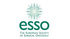 ESSO Hands-on Course on Surgical Colorectal Oncology: Review & Essentials