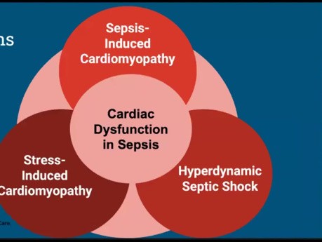 Dysfonction Cardiaque au cours du Sepsis