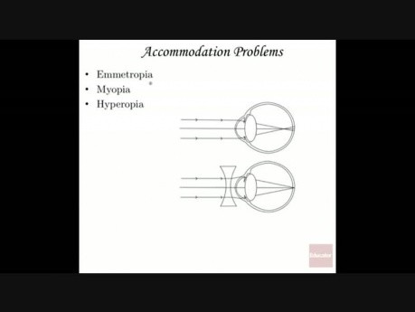 Anatomie et physiologie de l'œil