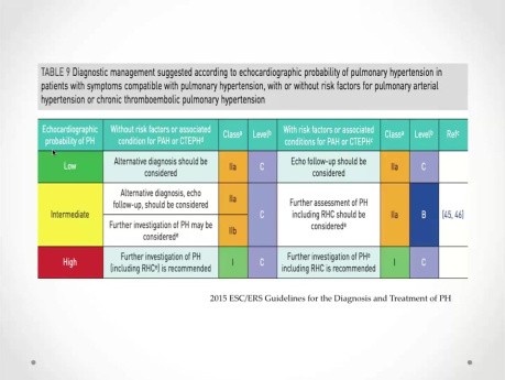 Échocardiographie dans l'Hypertension Pulmonaire : Une Révision Pratique