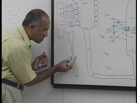 La concentration et la dilution de l'urine  5/13 - Physiologie rénale - USMLE Étape 1