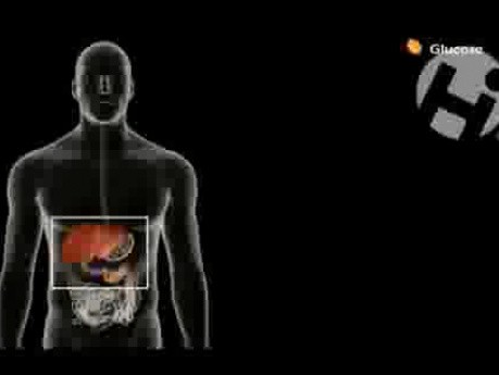 Glucose dans le corps