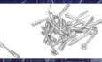 Développement de Vis Métalliques Solides Biorésorbables pour la Fixation des Fractures du Condyle Mandibulaire