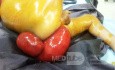 Prolapsus rectal chez un enfant