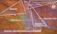 Les Cinq Triangles du TAPP