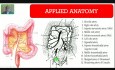 Hémorragie gastro-intestinale inférieure - Introduction