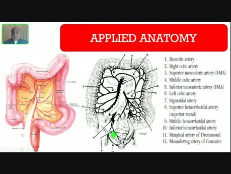 Hémorragie gastro-intestinale inférieure - Introduction
