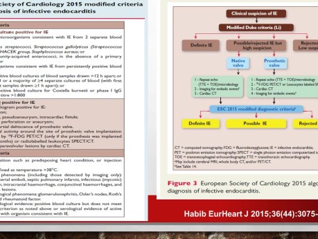 Échocardiographie: Discussions Basées sur des Cas d'Endocardite Infectieuse