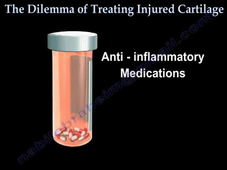 Gonarthrose, destruction du cartilage 