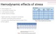 Échographie de Stress dans le Cadre de l'Hypertension Pulmonaire