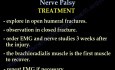 Paralysie du nerf radial - Traitement - Partie 2