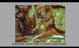 Grossesse Extra-utérine Abdominale