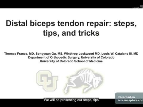 Distal biceps