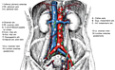 Atlas des opérations chirurgicales de Zollinger - 9e édition